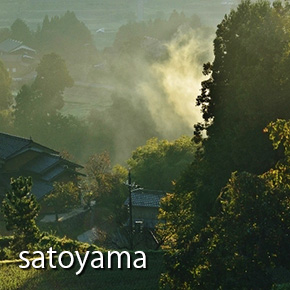 satoyama photo
