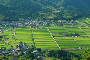 田園風景